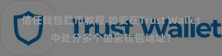 信任钱包提币教程 如安在Trust Wallet中处分多个加密钱包地址？